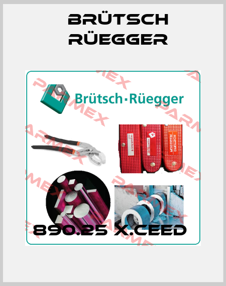 890.25 X.CEED  Brütsch Rüegger