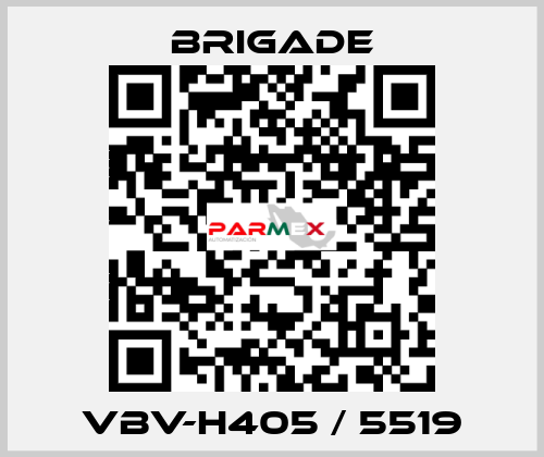 VBV-H405 / 5519 Brigade
