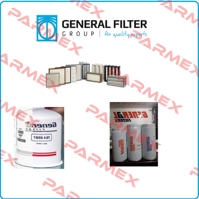 LP424242 General Filter