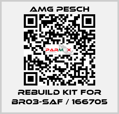rebuild kit for BR03-SAF / 166705 AMG Pesch