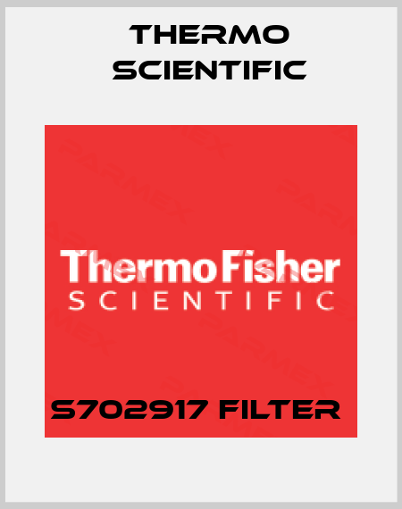 S702917 Filter  Thermo Scientific