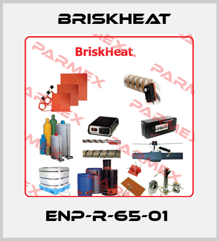 ENP-R-65-01  BriskHeat