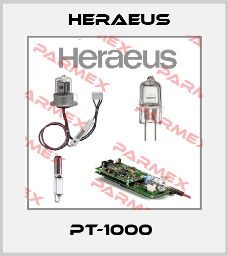 PT-1000  Heraeus