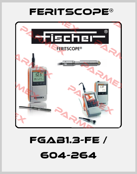 FGAB1.3-Fe / 604-264 Feritscope®