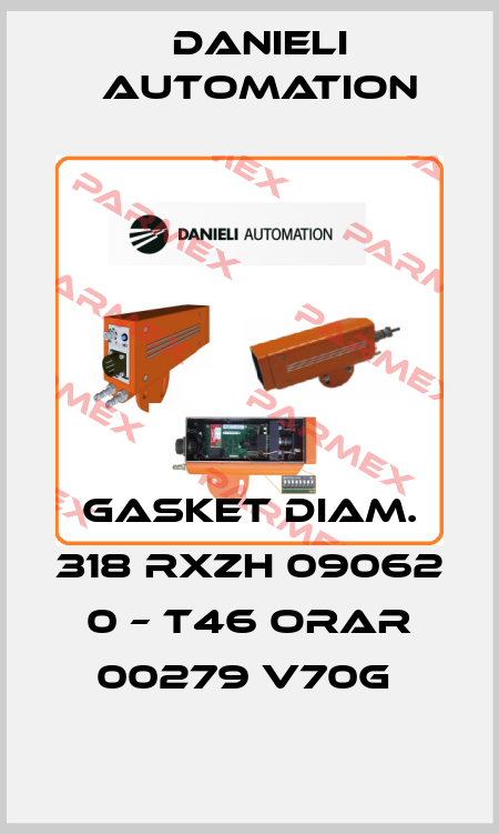 Gasket Diam. 318 RXZH 09062 0 – T46 ORAR 00279 V70G  DANIELI AUTOMATION
