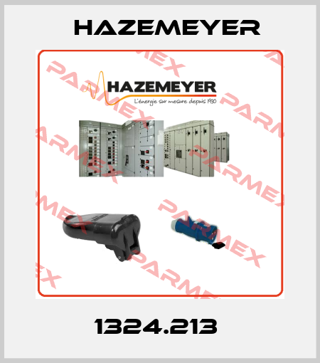 1324.213  Hazemeyer