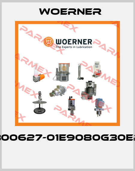 300627-01E9080G30EP  Woerner