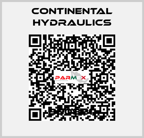250821  Continental Hydraulics