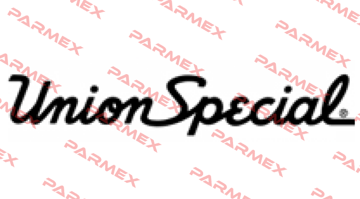 10043 Union Special