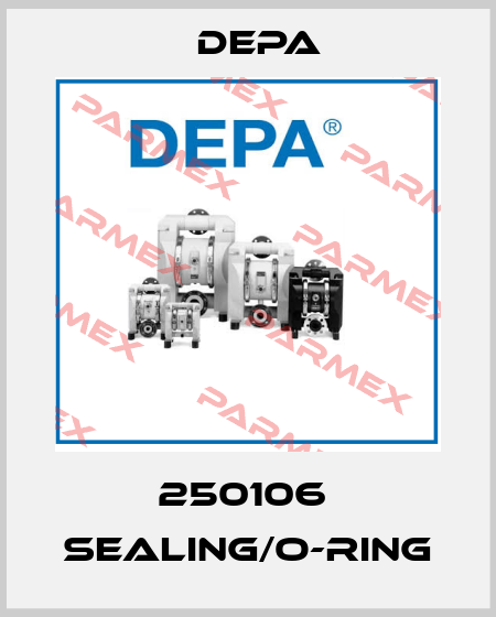 250106  Sealing/O-Ring Depa