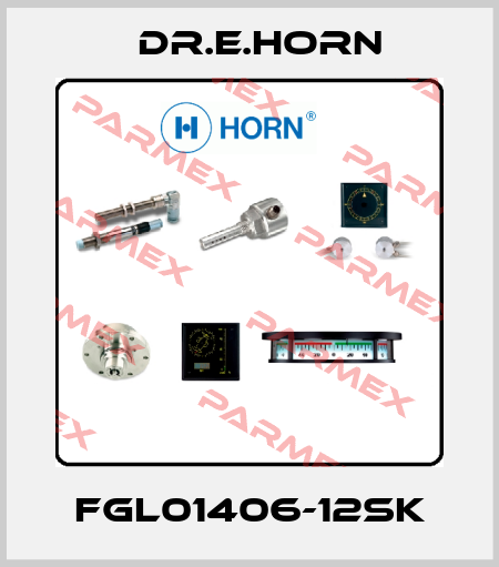 FGL01406-12SK Dr.E.Horn