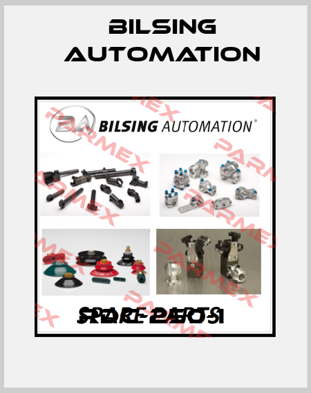 RDC-250-1  Bilsing Automation