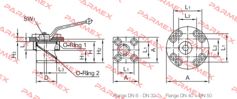 107 021 Rotelmann