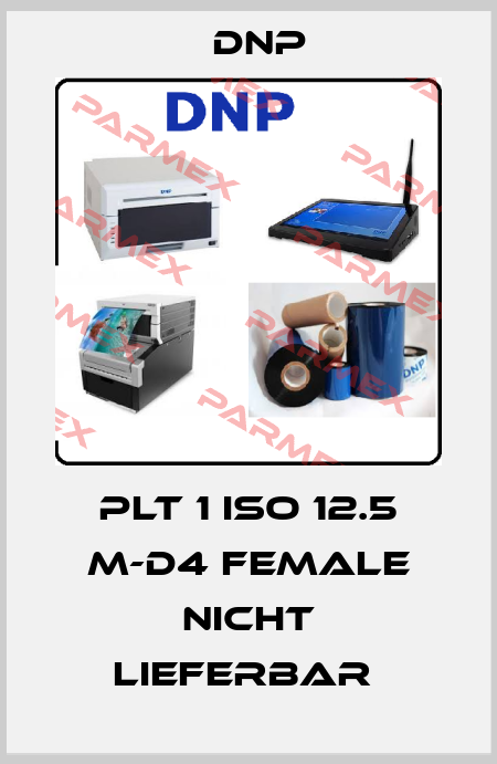 PLT 1 ISO 12.5 M-D4 female nicht lieferbar  DNP