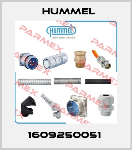 1609250051  Hummel