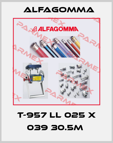 T-957 LL 025 X 039 30.5M  Alfagomma