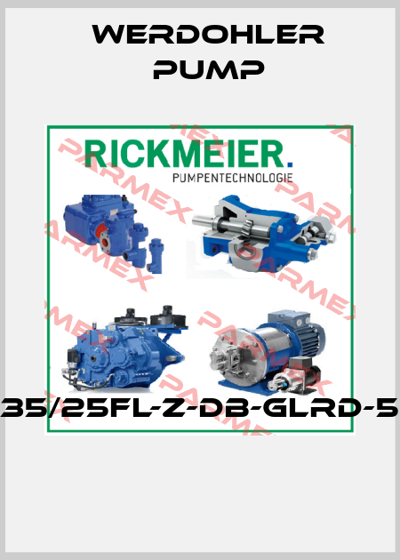 R35/25FL-Z-DB-GLRD-5O  Werdohler Pump