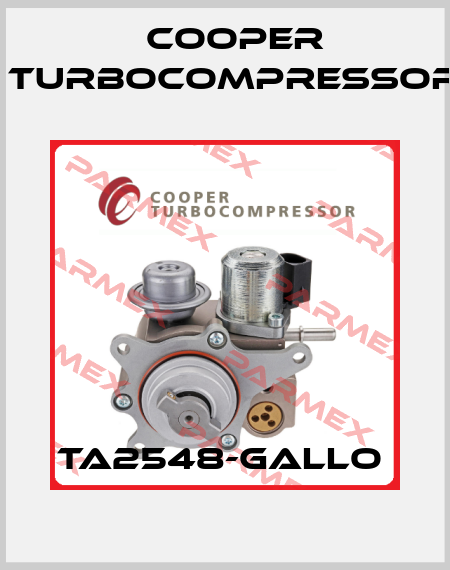 TA2548-GALLO  Cooper Turbocompressor