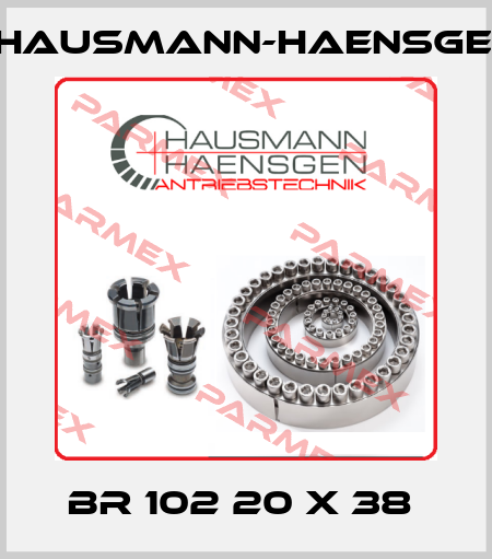 BR 102 20 X 38  Hausmann-Haensgen
