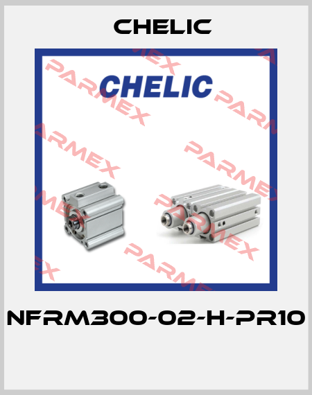 NFRM300-02-H-PR10  Chelic