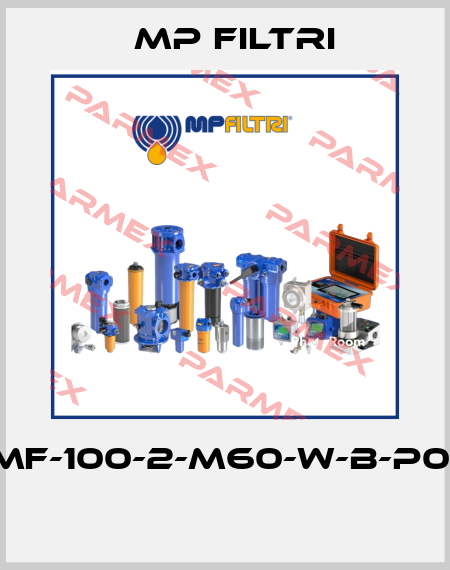 MF-100-2-M60-W-B-P01  MP Filtri
