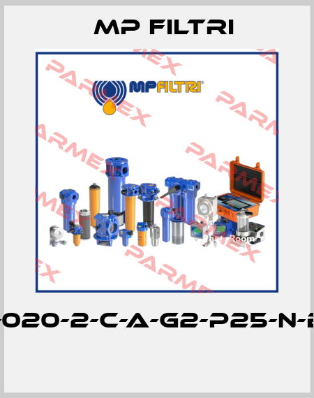 MPT-020-2-C-A-G2-P25-N-B-P01  MP Filtri