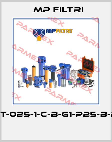 MPT-025-1-C-B-G1-P25-B-P01  MP Filtri
