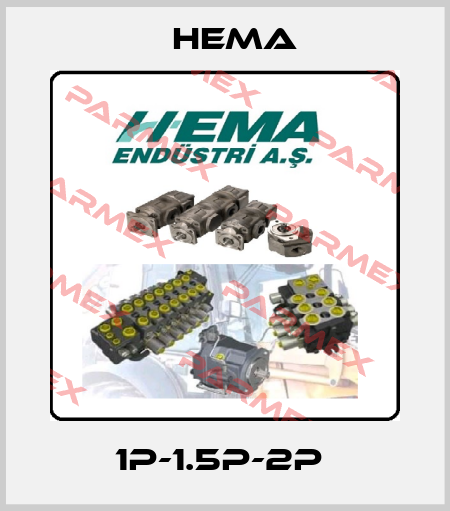 1P-1.5P-2P  Hema