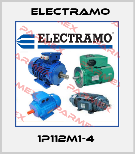 1P112M1-4  Electramo