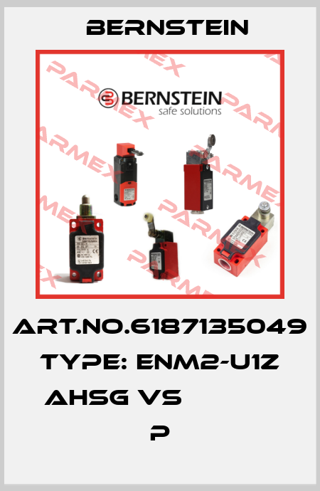 Art.No.6187135049 Type: ENM2-U1Z AHSG VS             P Bernstein