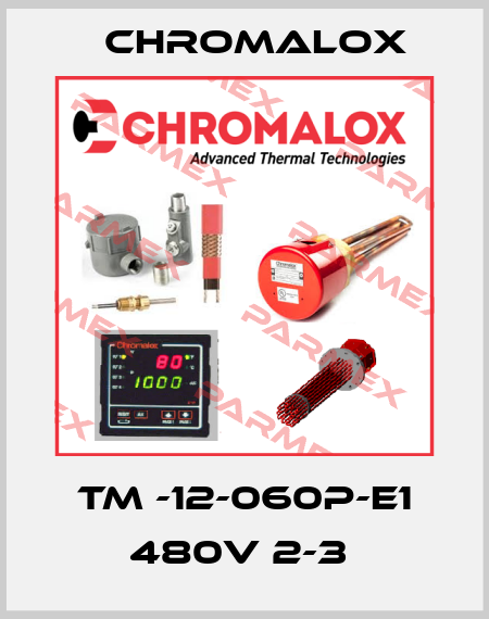 TM -12-060P-E1 480V 2-3  Chromalox