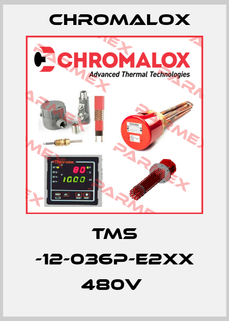 TMS -12-036P-E2XX 480V  Chromalox