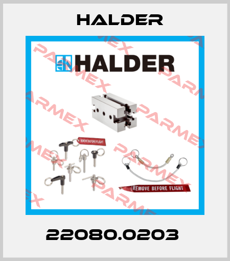 22080.0203  Halder