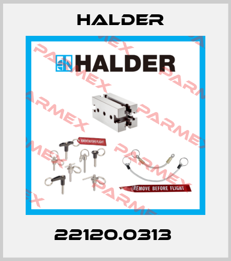 22120.0313  Halder
