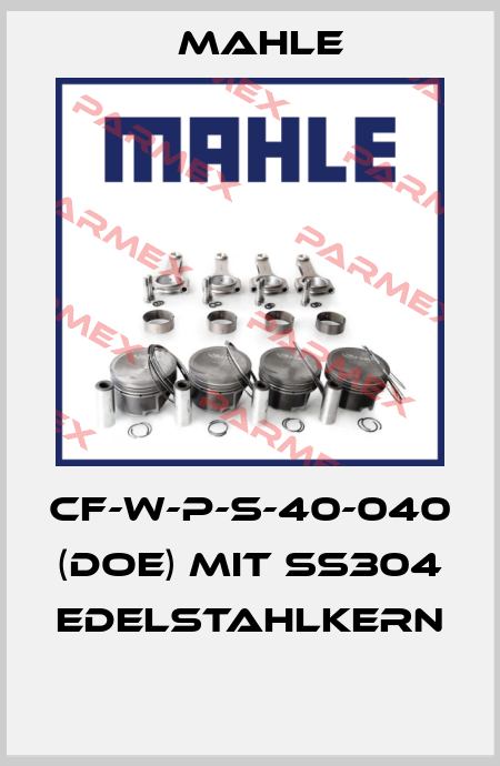 CF-W-P-S-40-040 (DOE) mit SS304 Edelstahlkern  MAHLE