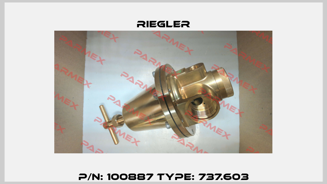 P/N: 100887 Type: 737.603 Riegler