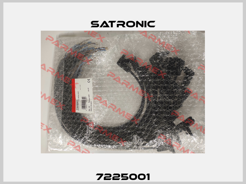 7225001 Satronic