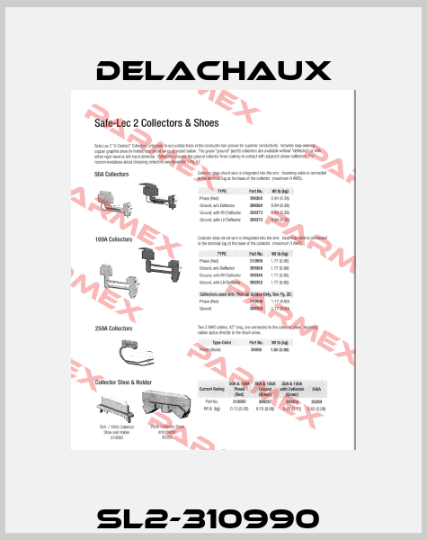 SL2-310990  Delachaux