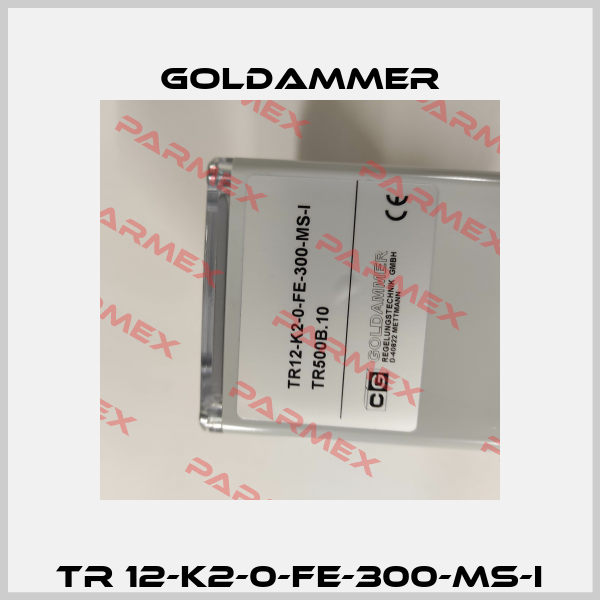 TR 12-K2-0-FE-300-MS-I Goldammer