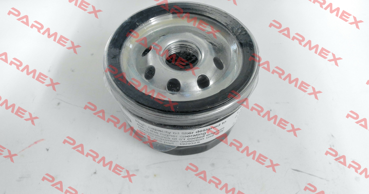 492932 Briggs-Stratton