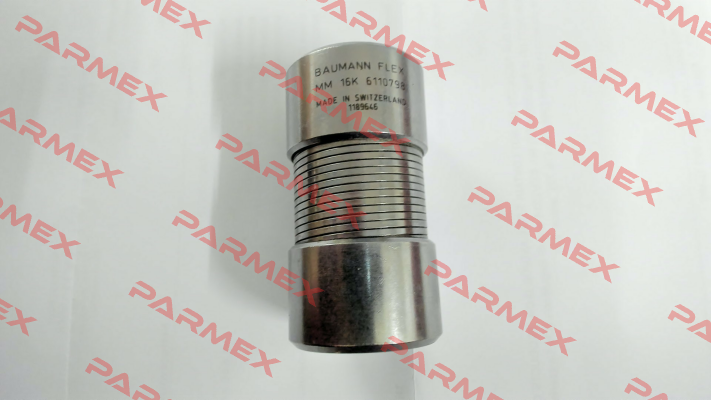 6110798 Baumann