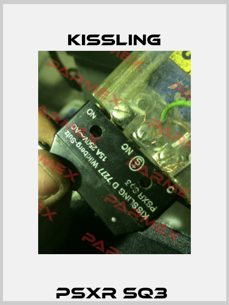 PSXR SQ3  Kissling