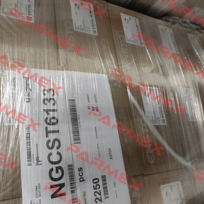 NGCST6133 Ensto