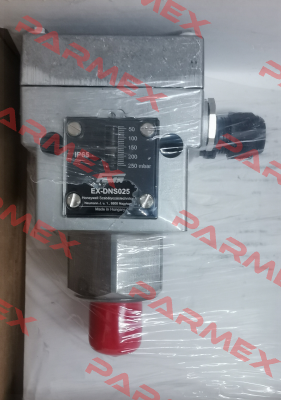 EX-DNS025 FEMA