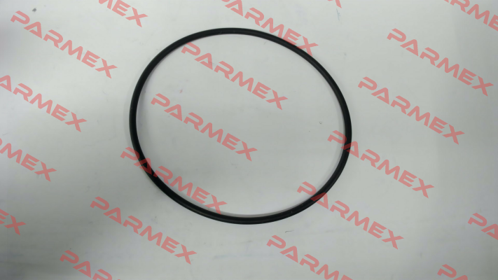 O-ring for filter type FM DN 50 Madas