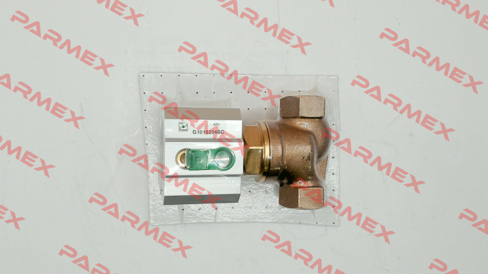 G1018224SC Pneumax