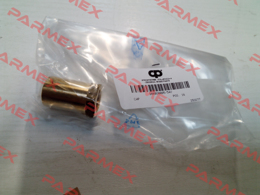 D00BO0005/54V POMPE CUCCHI SRL