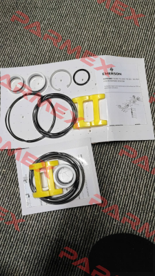 ISV-1138501 TYCO FLOW