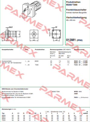M220-61325D-013M1 Salzer