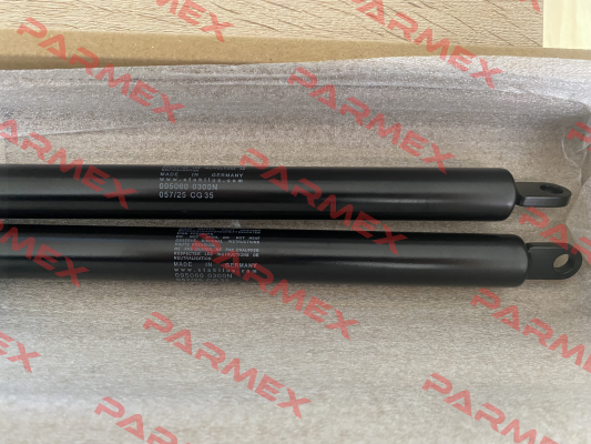 095060 Stabilus